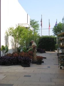 Eric Groft laying out plants at the Chanel boutique 